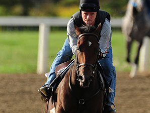 Grand Adventure - Woodbine September 16, 2011.