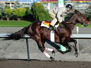 Grand Adventure at.Woodbine on September 18, 2010.