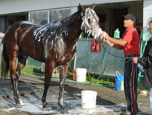 Grand Adventure at.Woodbine on September 18, 2010.