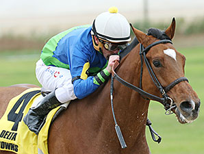 Grand Contender wins the 2013 Delta Mile Stakes.