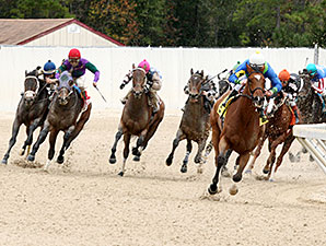Grand Contender wins 2013 Delta Mile Stakes.