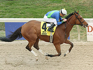 Grand Contender wins the 2013 Delta Mile Stakes.