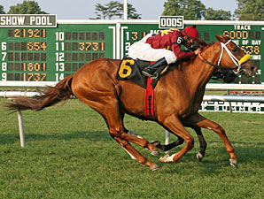 Grand Rapport Allowance win, July 16, 2010 Monmouth Park.