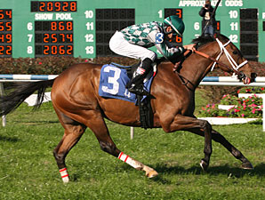 Grand Tranverse wins the 2009 Bonapaw.