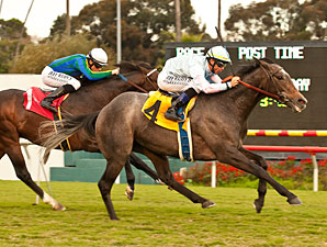 Grandeur wins the 2012 Hollywood Turf Cup.