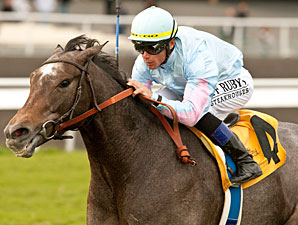 Grandeur wins the 2012 Hollywood Turf Cup.