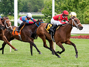 Grandma's Rules wins the 2013 Gaily Gaily Stakes.