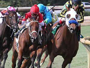 Grandma's Rules wins the 2013 River Cities Stakes.