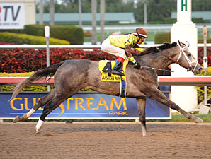 Graydar wins the 2013 Donn Handicap.
