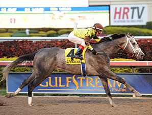 Graydar wins the 2013 Donn Handicap.