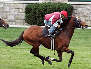 Great Attack - Keeneland Work October 26, 2012
