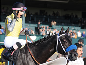 Great Hot wins the 2011 Raven Run.