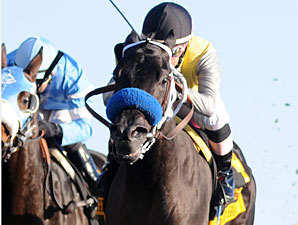 Great Hot wins the 2011 Raven Run.