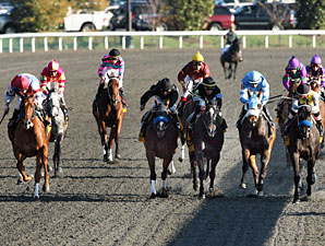 Great Hot wins the 2011 Raven Run.