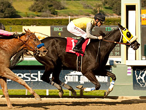 Great Hot wins the 2013 Santa Maria Stakes.