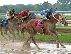 Great Lookinblonde wins the 2012 Power by Far.