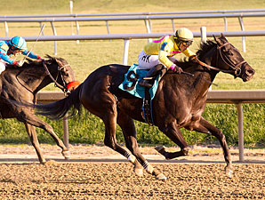 Greed and Fear wins the 2012 Safely Kept Stakes.