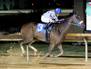 Greenway Court wins the 2013 It's Ony Money Stakes.