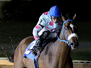 Greenway Court wins the 2013 It's Only Money Stakes.