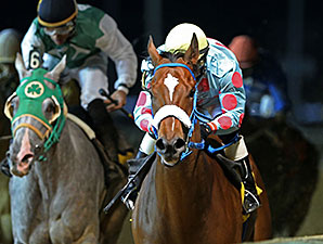 Greenway Court wins the 2014 It's Only Money Stakes.