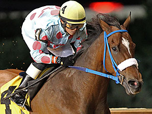 Greenway Court wins the 2014 It's Only Money Stakes.