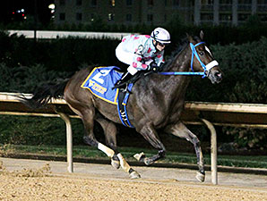 Greenway Court wins the 2013 West Virginia Dash for Cash Breeders' Classic Stakes.