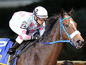 Greenway Court wins the 2013 West Virginia Dash for Cash Breeders' Classic Stakes.