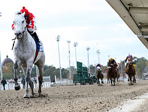 Grey Papillon wins the 2010 LA Champions Day Handicap.