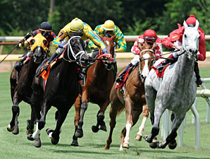 Grey Papillon wins the 2010 Louisiana Starter Cup Stakes.