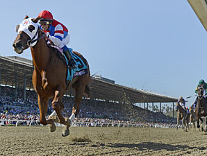 Groupie Doll in the Breeders' Cup Filly & Mare Sprint.