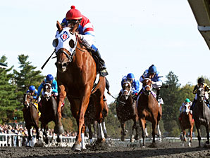 Groupie Doll wins the 2012 Thoroughbred Club of America Stakes.