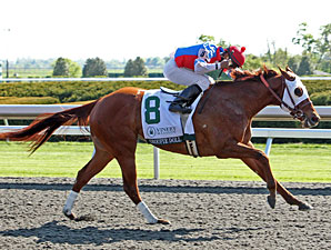 Groupie Doll wins the 2012 Vinery Madison.