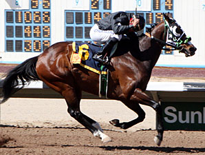 Groushy Apadana wins the Jack Cole Stakes.