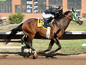 Groushy Apadana wins The ET Springer Stakes.