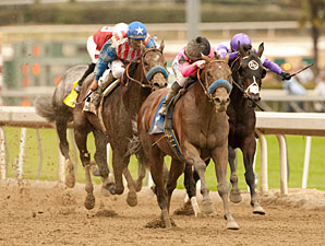 Guilt Trip wins the 2013 Strub.