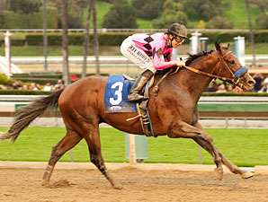 Guilt Trip wins the 2013 Strub.