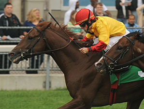 Guipago wins the 2010 Halton Stakes.