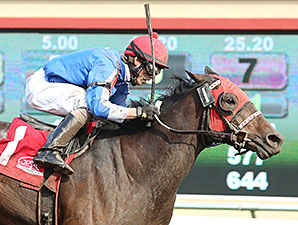 Gypsy Melody wins the 2014 Lady Slipper Stakes.