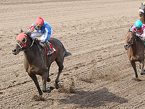 Gypsy Melody wins the 2014 Lady Slipper Stakes.