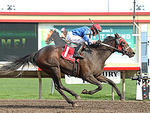 Gypsy Melody wins the 2014 Lady Slipper Stakes.