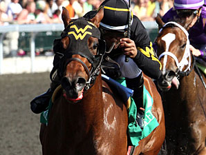 Gypsy Robin in the Beaumont Stakes.