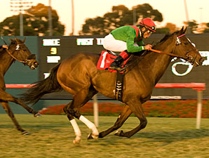 Gypsy's Warning wins the 2010 Matriarch.
