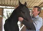 Trainer Joe Herrick
