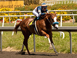 Hail Mary wins the Warren's Throgouhbreds Stakes.