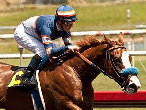Hail Mary wins the Warren's Throgouhbreds Stakes.