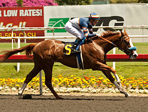 Hail Mary wins the Warren's Throgouhbreds Stakes.