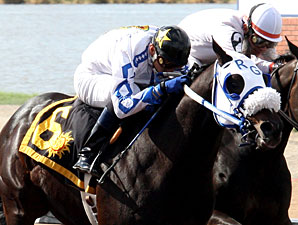 Haitian Hero wins the 2010 KHEY-Y-96 Sprint Stakes.