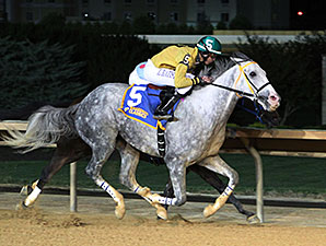 Halter Off wins the 2014 West Virginia Dash for Cash Breeders' Classic.