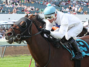 Hammers Terror wins the Brooks Fields Stakes.