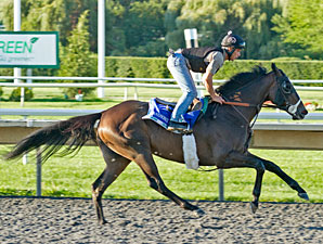 Handsome Mike - Arlington Park, August 17, 2012